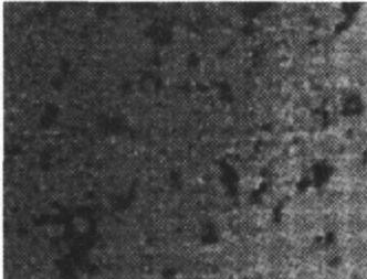 機(jī)器視覺(jué)滾動(dòng)軸承表面缺陷檢測(cè)應(yīng)用分析插圖7