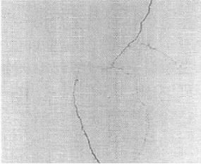 機(jī)器視覺(jué)滾動(dòng)軸承表面缺陷檢測(cè)應(yīng)用分析插圖2