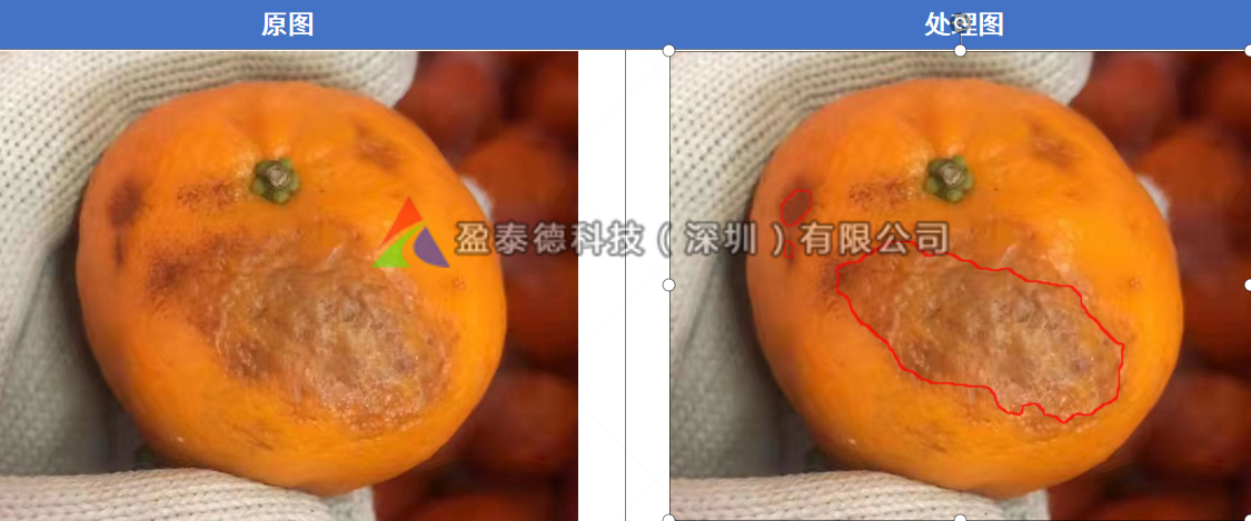 水果自動(dòng)篩選機(jī)（水果不良品機(jī)器視覺(jué)檢測(cè)方案）插圖4