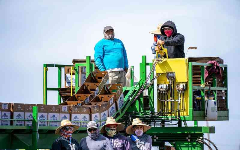機器視覺在工業(yè)制造中的應用實例有哪些