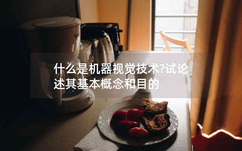 什么是機(jī)器視覺(jué)技術(shù)?試論述其基本概念和目的
