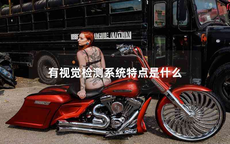 有視覺檢測(cè)系統(tǒng)特點(diǎn)是什么