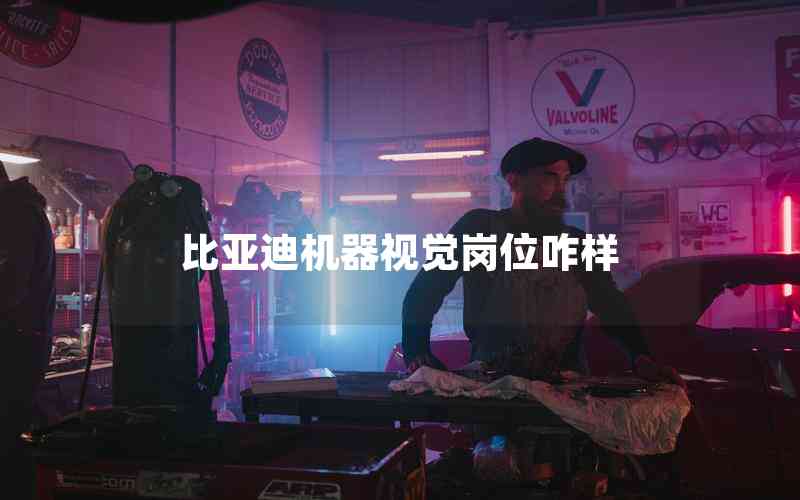 比亞迪機(jī)器視覺崗位咋樣
