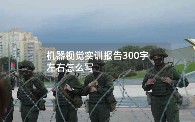 機器視覺實訓報告300字左右怎么寫