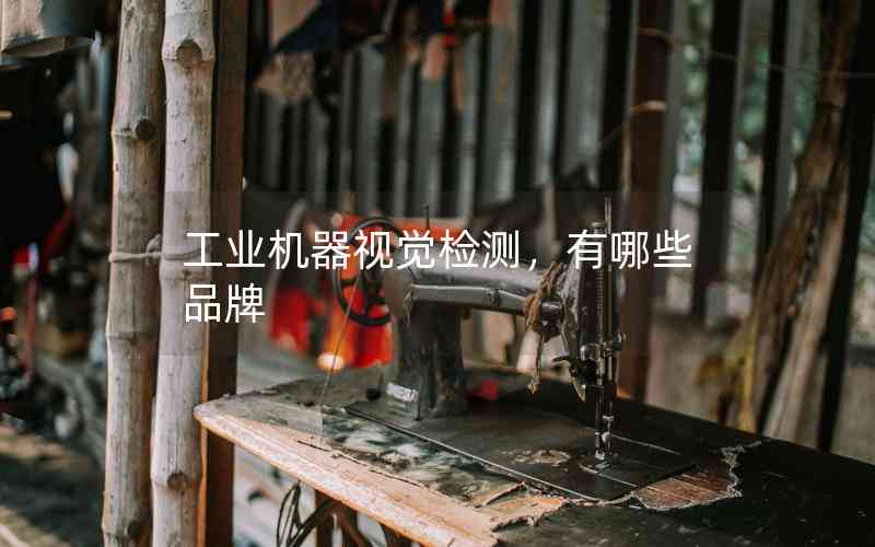 工業(yè)機(jī)器視覺檢測(cè)，有哪些品牌