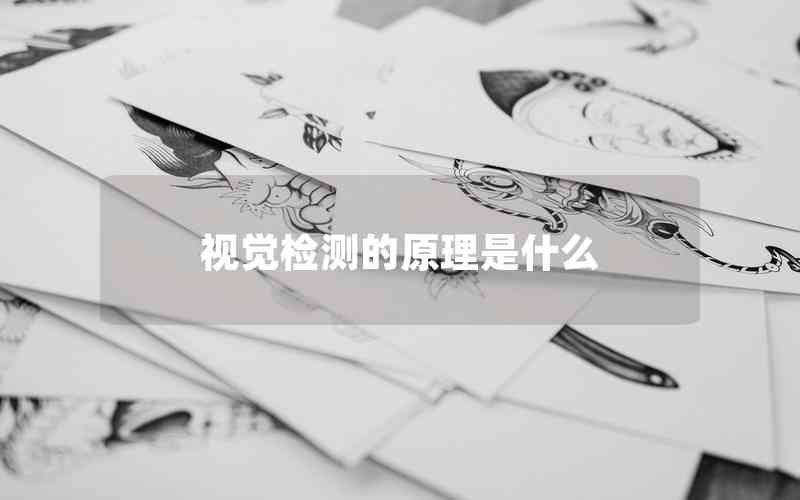 視覺檢測(cè)的原理是什么