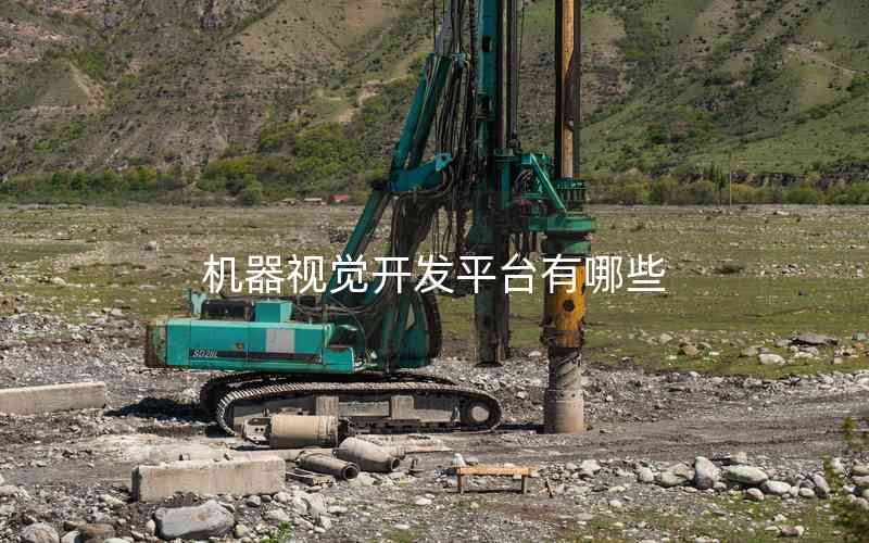 機(jī)器視覺(jué)開(kāi)發(fā)平臺(tái)有哪些