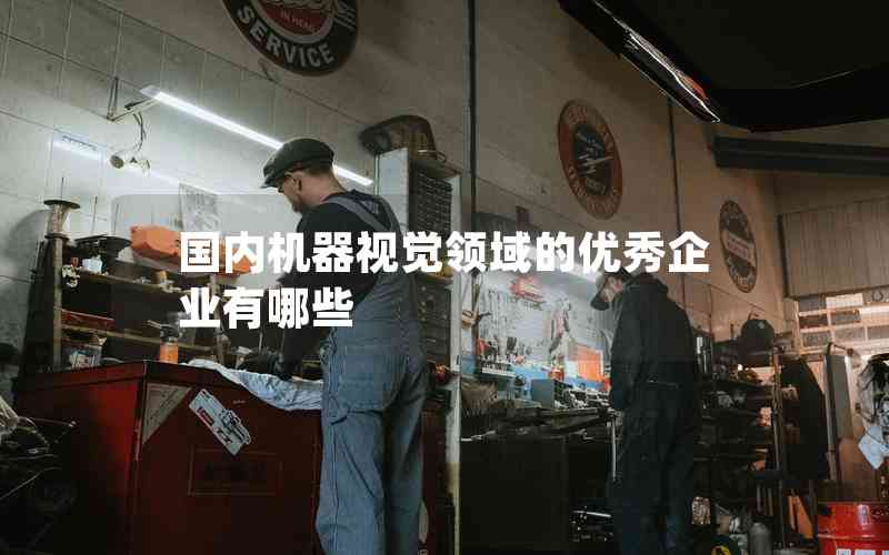 國(guó)內(nèi)機(jī)器視覺領(lǐng)域的優(yōu)秀企業(yè)有哪些