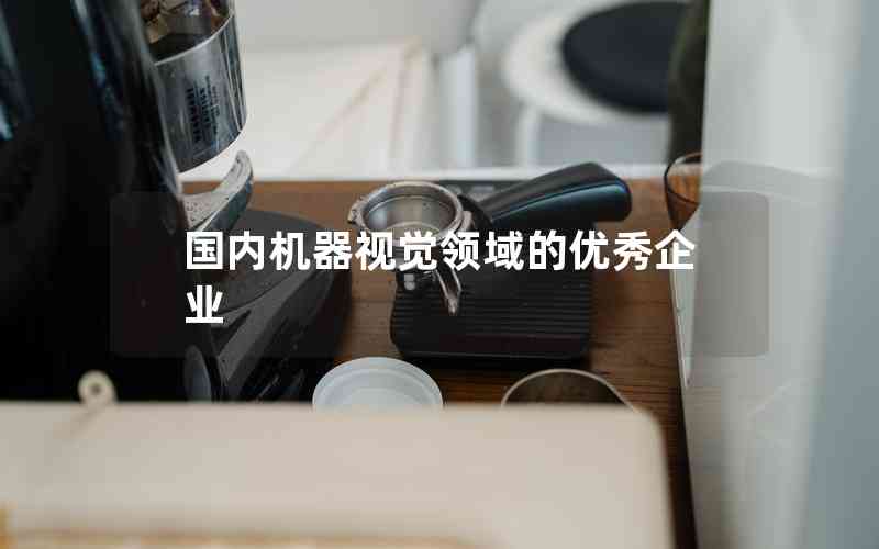 國(guó)內(nèi)機(jī)器視覺領(lǐng)域的優(yōu)秀企業(yè)