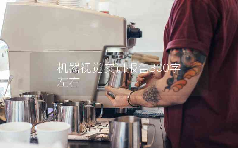 機器視覺實訓報告300字左右