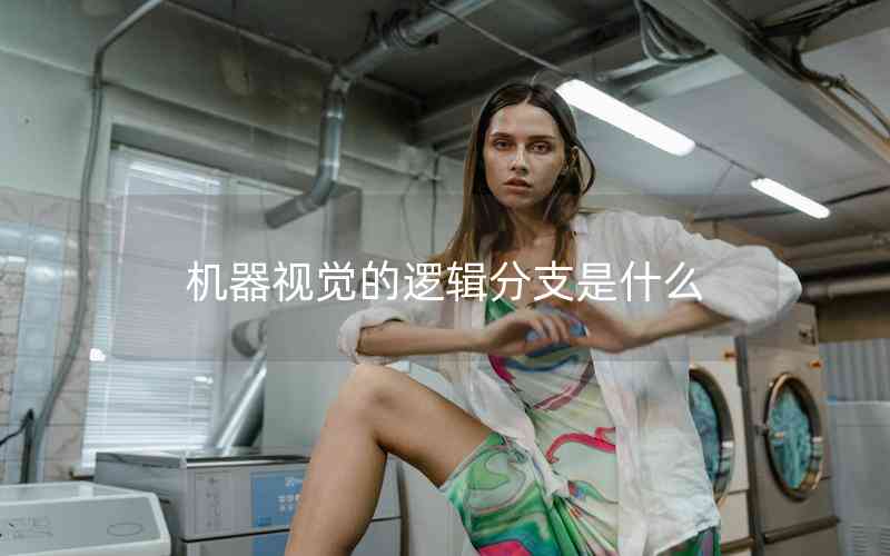 機器視覺的邏輯分支是什么