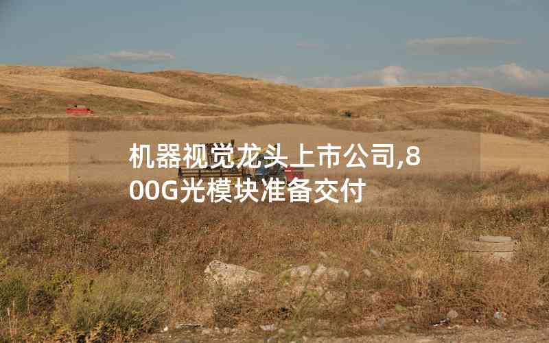 機器視覺龍頭上市公司,800G光模塊準備交付