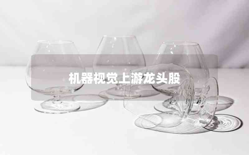 機器視覺上游龍頭股