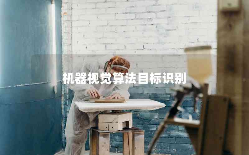 機器視覺算法目標識別