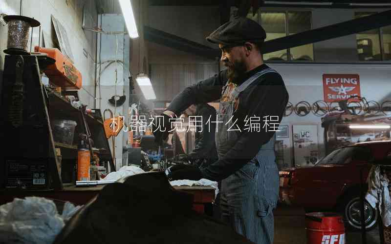 機器視覺用什么編程