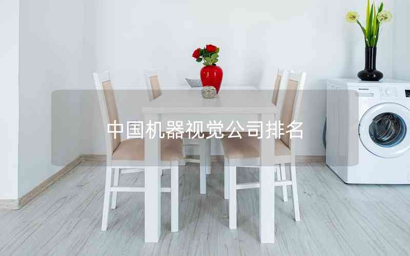 中國機(jī)器視覺公司排名