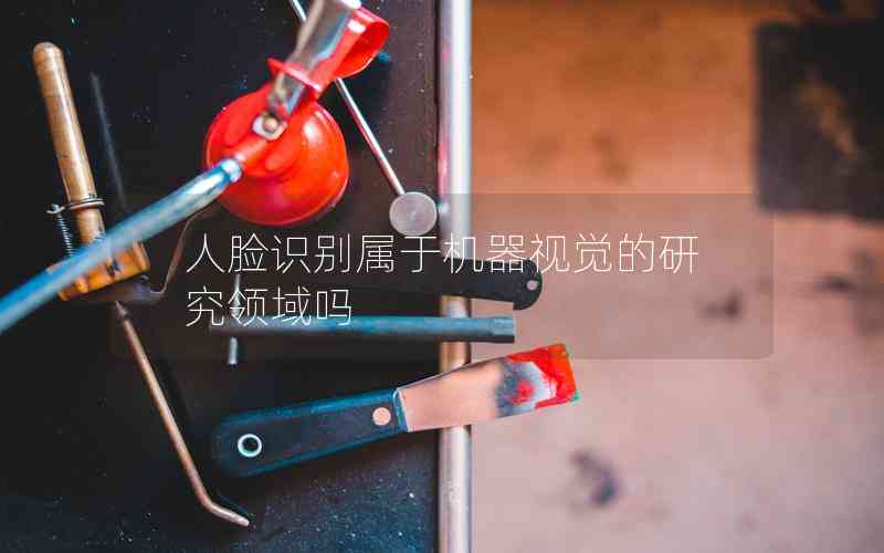 人臉識別屬于機器視覺的研究領(lǐng)域嗎