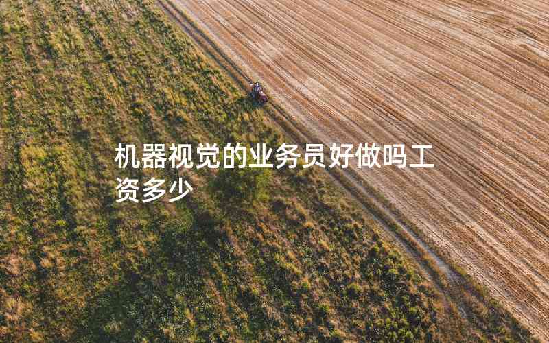 機(jī)器視覺的業(yè)務(wù)員好做嗎工資多少