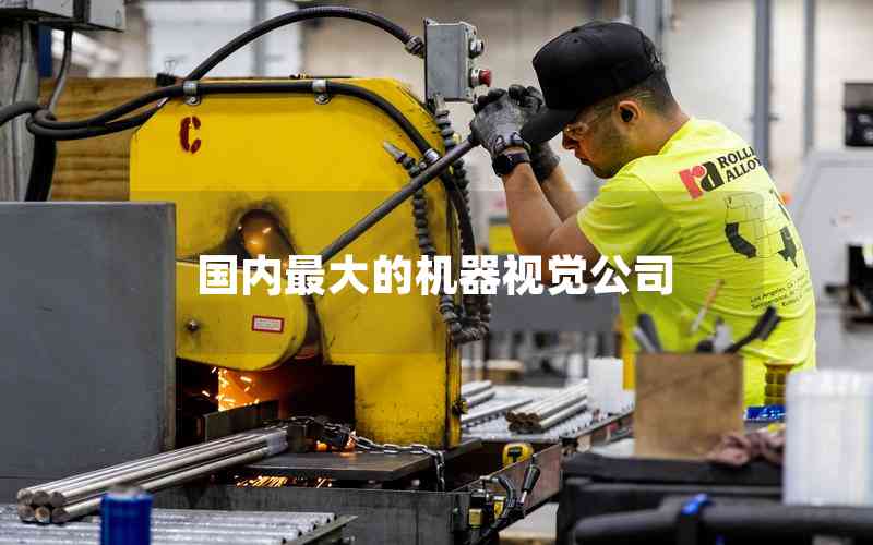 國內(nèi)最大的機(jī)器視覺公司
