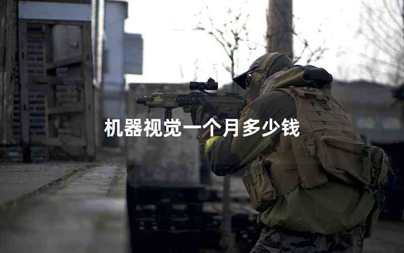 機(jī)器視覺(jué)一個(gè)月多少錢(qián)