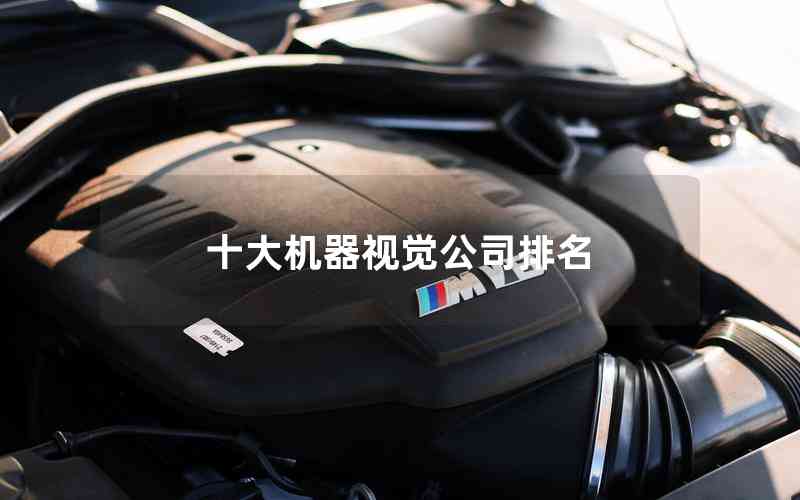 十大機器視覺公司排名