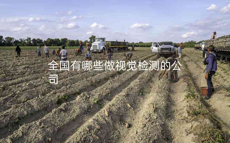 全國(guó)有哪些做視覺檢測(cè)的公司