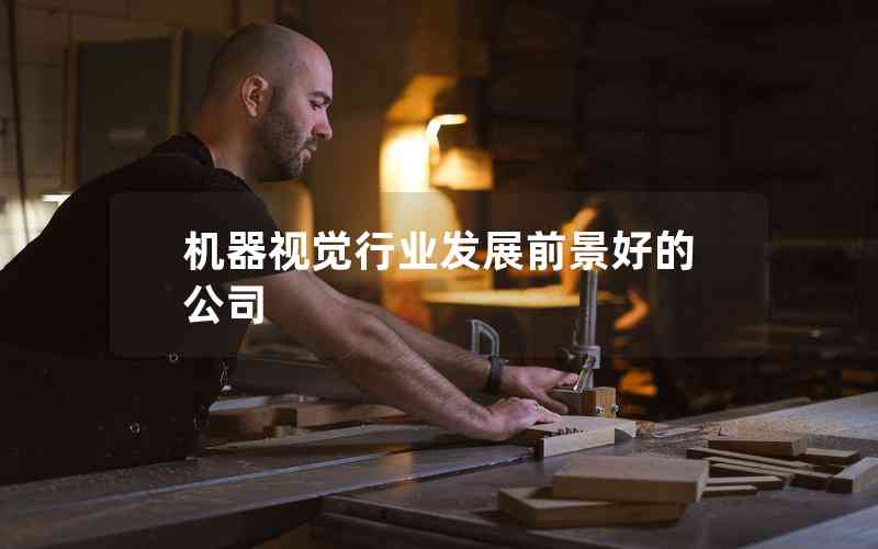 機(jī)器視覺(jué)行業(yè)發(fā)展前景好的公司