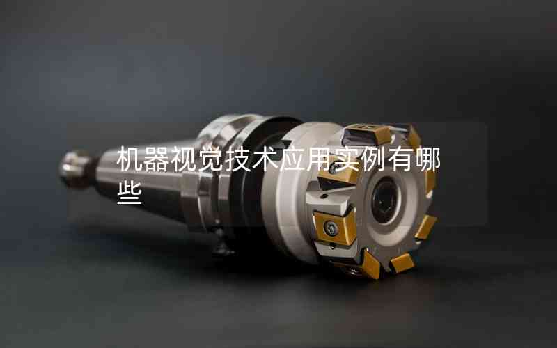 機(jī)器視覺(jué)技術(shù)應(yīng)用實(shí)例有哪些