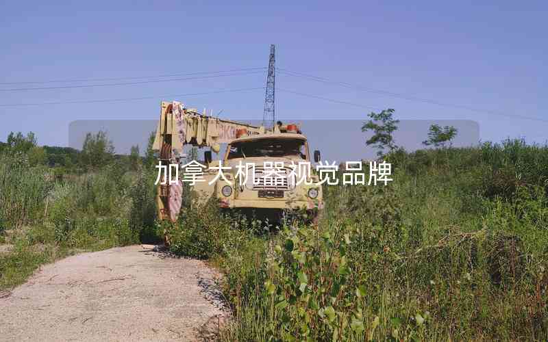 加拿大機器視覺品牌