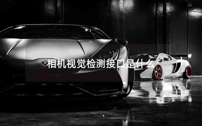 相機(jī)視覺(jué)檢測(cè)接口是什么
