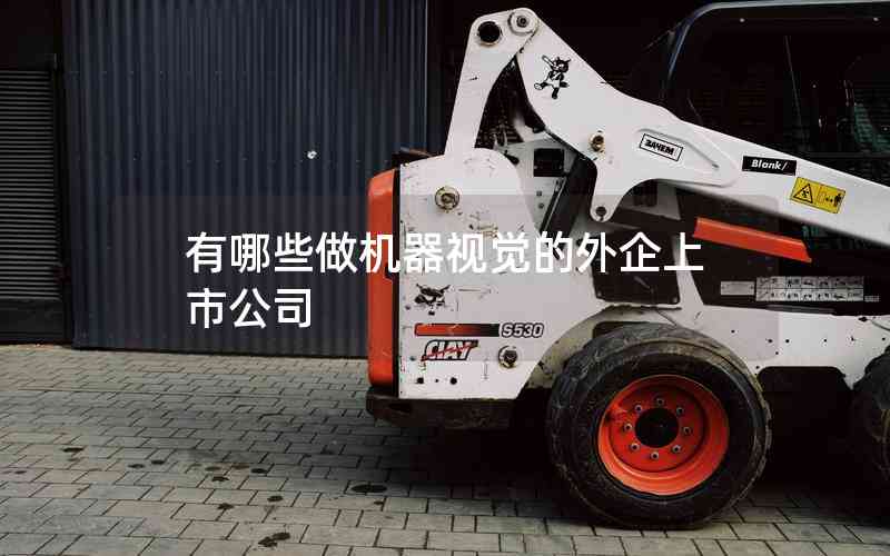 有哪些做機(jī)器視覺(jué)的外企上市公司