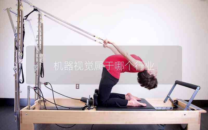機(jī)器視覺屬于哪個行業(yè)