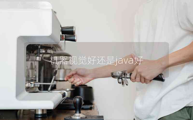 機器視覺好還是java好