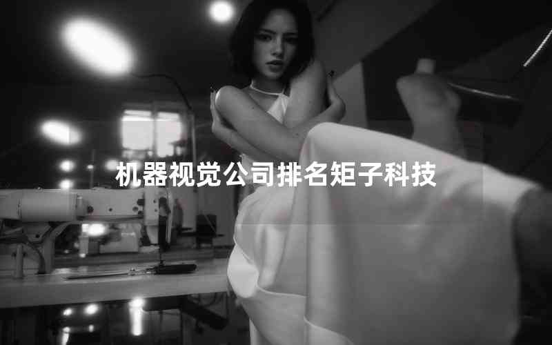 機(jī)器視覺公司排名矩子科技