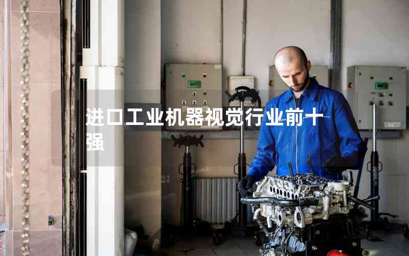 進(jìn)口工業(yè)機器視覺行業(yè)前十強