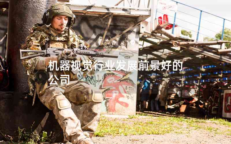 機器視覺行業(yè)發(fā)展前景好的公司