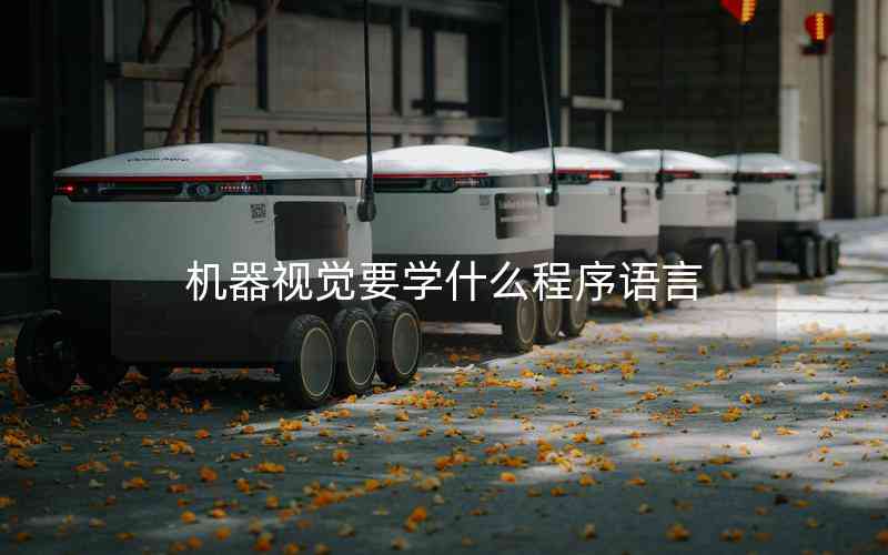 機器視覺要學(xué)什么程序語言