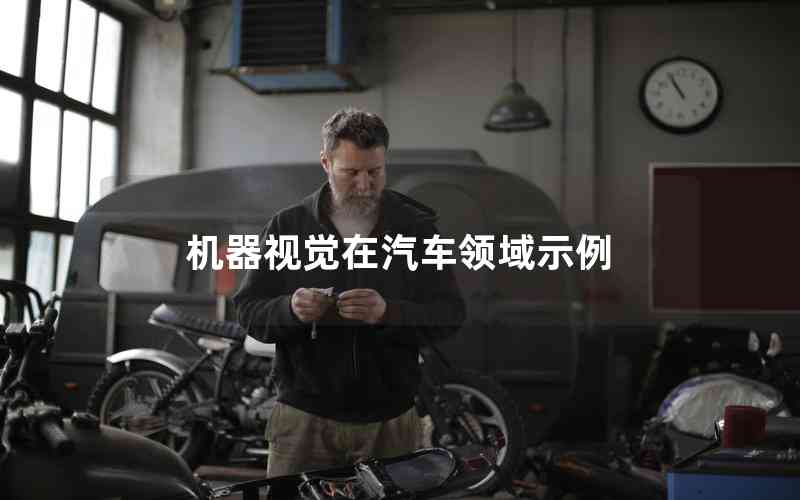 機(jī)器視覺(jué)在汽車(chē)領(lǐng)域示例