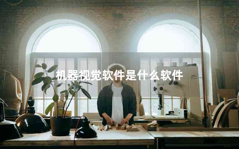 機(jī)器視覺(jué)軟件是什么軟件