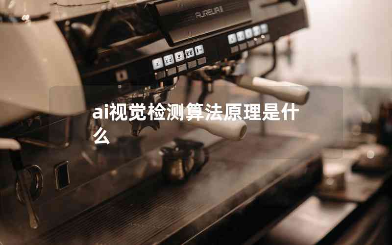 ai視覺(jué)檢測(cè)算法原理是什么