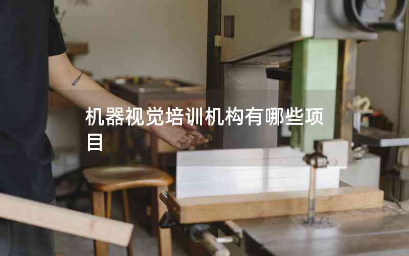 機器視覺培訓(xùn)機構(gòu)有哪些項目