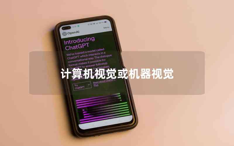 計算機(jī)視覺或機(jī)器視覺