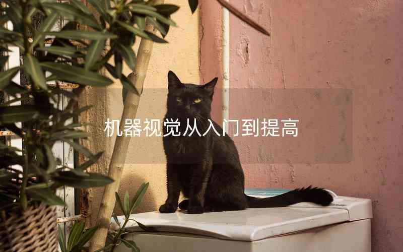 機(jī)器視覺從入門到提高