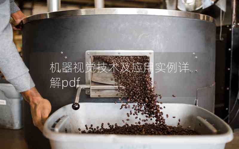 機器視覺技術(shù)及應用實例詳解pdf