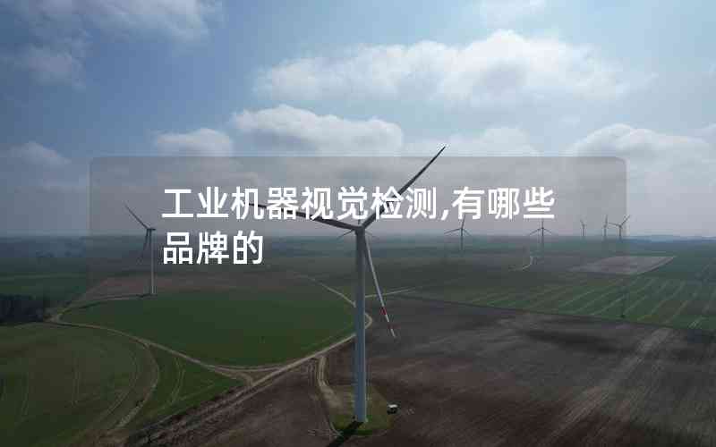 工業(yè)機(jī)器視覺檢測(cè),有哪些品牌的