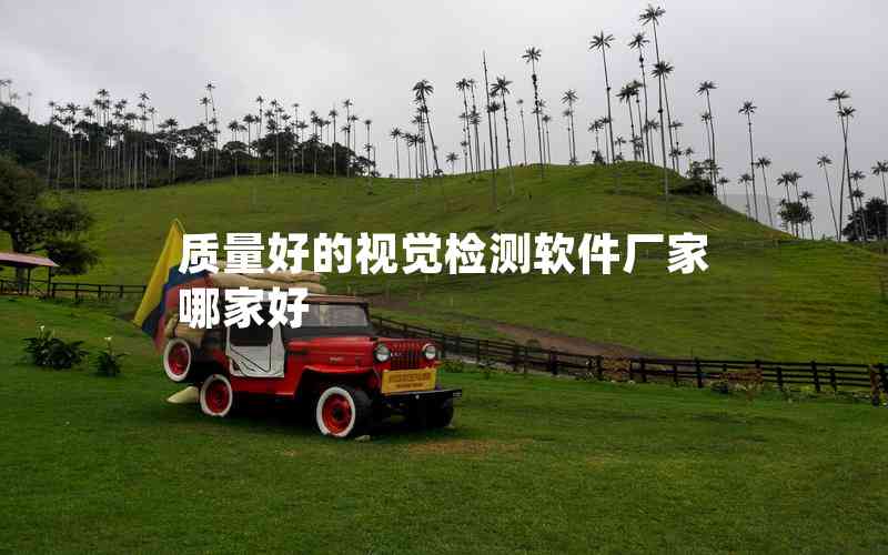 質(zhì)量好的視覺檢測軟件廠家哪家好