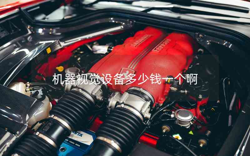 機(jī)器視覺(jué)設(shè)備多少錢(qián)一個(gè)啊