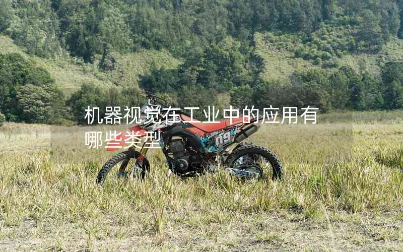 機器視覺在工業(yè)中的應用有哪些類型