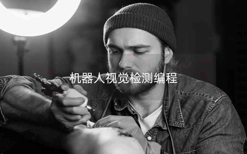 機器人視覺檢測編程