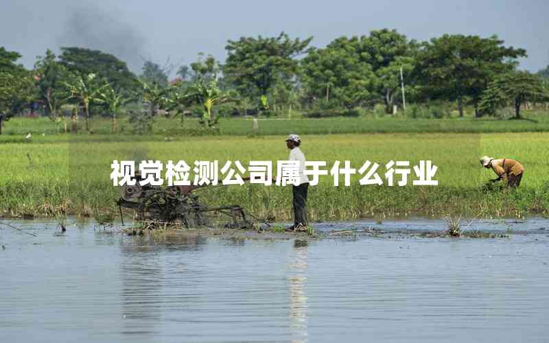 視覺(jué)檢測(cè)公司屬于什么行業(yè)